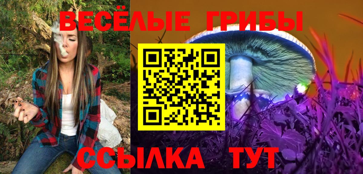 Железногорск  Псилоцибиновые грибы Cubensis  Псилоцибиновые грибы мицелий  Вход с VPN 